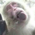 [EXO] 뭐? 70대에 으르렁 춘다고?