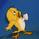 [EXO] 우리 9,10주년은 <b>조옹</b>ㅇ나 행복할 것 같아서 개떨림