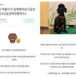 내 <b>손자</b>들 학교 댕김