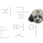근데 <b>트창</b>이 뭔뜻이야?