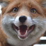 자기 비하하는 개그 <b>웬만</b>하면 하지마