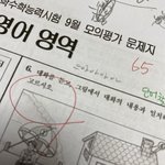 [드루와] 고2인데 영어가 4등급임 정시 해 말아?