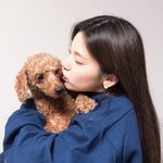 서울 사는애들아