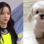 헐 이 사람 <b>지수</b> 닮음