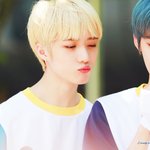 [TXT모아] ❣ 모아톡은 짤 안줘용 ❣