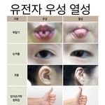 너네 우성이니 <b>열성</b>이니