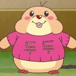 [19] <b>C</b><b>컵</b>인애들 들어와봥