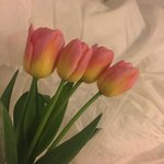 [댓글부탁해] 나 남친이랑 20<b>센치</b> 차이인데