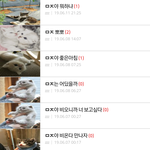 가입한지 한달 가튼