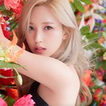 트와 미나 이거봐 ㄹㅇ 블랙<b>스완</b>같음