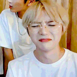 개귀<b>여운</b> 내 최애 사진