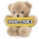 [<b>힐링</b>] 카이곰