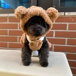 [모두드루와] 우리 <b>집</b> 갱<b>얼</b>쥐 자랑해야즤