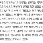 크래비티 블랙루즈 <b>뮤즈</b>됐대