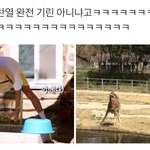 [EXO] 박찬열 <b>기린</b>설 떴네