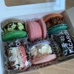 [드루와] 집 오는 길에 <b>뚱카롱</b> 사왔다 ❤️