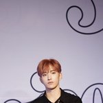 [세븐틴] 와 도겸