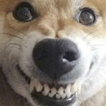 [NCT] 내생각엔 스밍 잘 안풀리는이유가