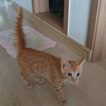 [댓글부탁해] 나 오늘 생일인데 <b>축하</b>해주면 안될까!