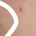[댓글부탁해] <b>눈썹</b> 깎는거 망햇을때 어케..