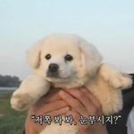 [EXO] <b>사진</b> 올리자마자 10분만에 실트 1위하는 9년차 남<b>돌</b>이...