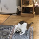 나 <b>남혐</b>사라짐