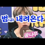 [TXT모아] Michin편집 ㅋㅋㅋㅋ범내려온다 범이내려온다