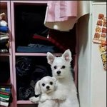 잠 못 <b>자면</b> 체력 쓰레기 되는 애들 있냐