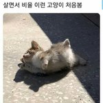 [드루와] 우리 반에 수업<b>시간</b>에 수업 <b>안</b>듣고 정시 공부하는 애 있는데