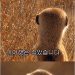 [댓글부탁해] ㅎ..<b>빛삭</b>