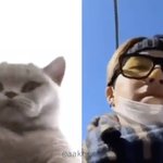 [방탄소년단] ㅎㅇㅍ <b>참여</b>안하면 이삐들 대머리됌