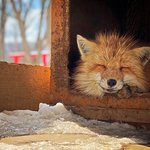 스마트폰 사진 대회 최종 수상작들!