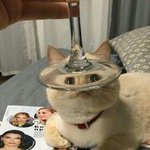 [댓글부탁해] 영어 잘하는사람 들어와봐