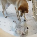 [드루와] 이짤 한번만 봐줘 <b>존귀탱</b>