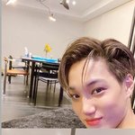 카이 이사진 어디 올라온<b>가임</b>?