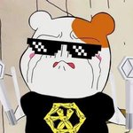 이 엑스 오 12월 컴백