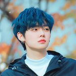 나 최애 공통점 뭐야???