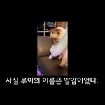 [NCT즌] 아 류양양 귀여운 썰(<b>feat</b>.루이)