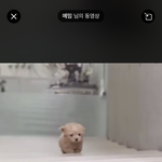 [NCT즌] <b>모에</b>화 개 에바인 걸 알면서도 알티하는 내 손