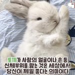 [드루와] 나 낼 귀뚫는당!!!!!!!!!!!