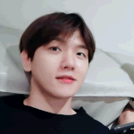 내 천년의 완식남