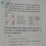 생명 시험 보는 사람들아