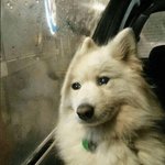 렌즈 <b>도수</b> -4.75인사람??