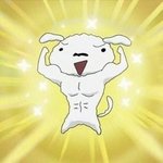 [펜타곤] 나 엔터 글쓰닌데