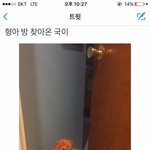 [방탄소년단] 오랜만에 보는