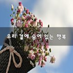 [힘이되줄게] 우리 곁에 숨어 있는 행복~
