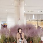 <b>수요일</b>