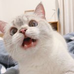 [드루와] 보통 패딩 언제부터 <b>입어</b>
