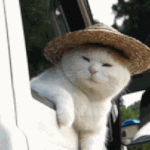 [방탄소년단] 윤기 니트 <b>구멍</b> 난거