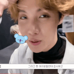 [방탄소년단] <b>코야</b>가 또 한건 했다며